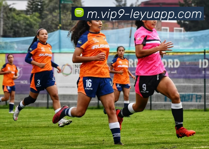 乐鱼体育服务体系